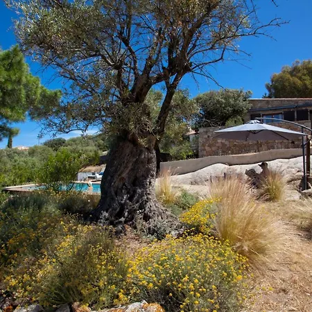 Villa Bodri, Maison En Pierre Avec Vue Et Piscine Chauffee LʼÎle-Rousse