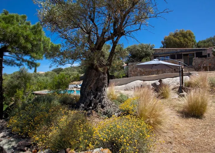 别墅 Bodri, Maison En Pierre Avec Vue Et Piscine Chauffee LʼÎle-Rousse